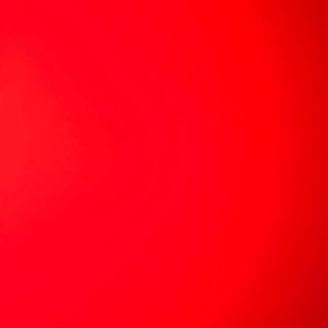 Meet your Posher, Beatriz